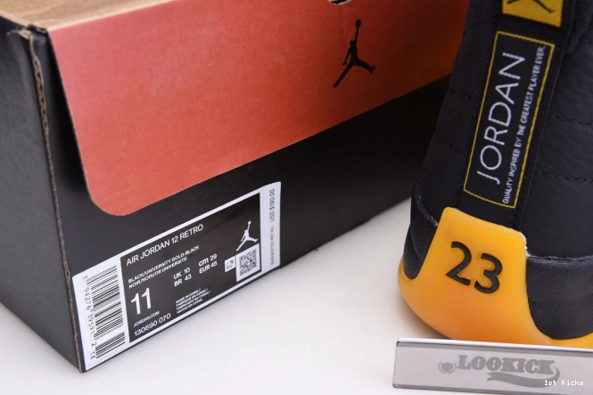 Air University 130690-070 Gold Jordan 12 Black Retro 0724